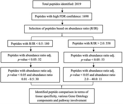 A pilot study on the differential urine proteomic profile of subjects with community-acquired acute kidney injury who recover versus those who do not recover completely at 4 months after hospital discharge